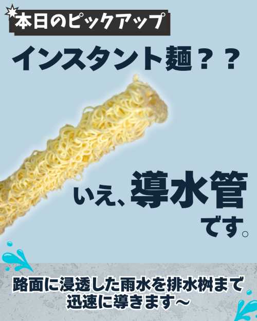 本日のピックアップ商品